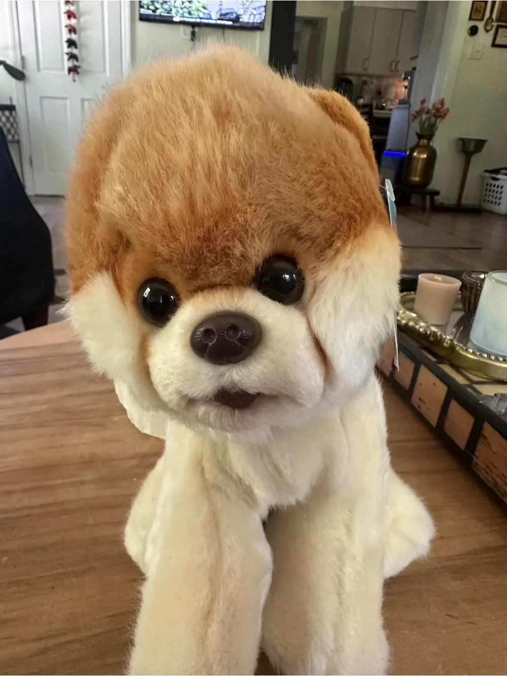 Gund Boo Worlds cutest dog Tan and Cream Plush Dog Toy tags on